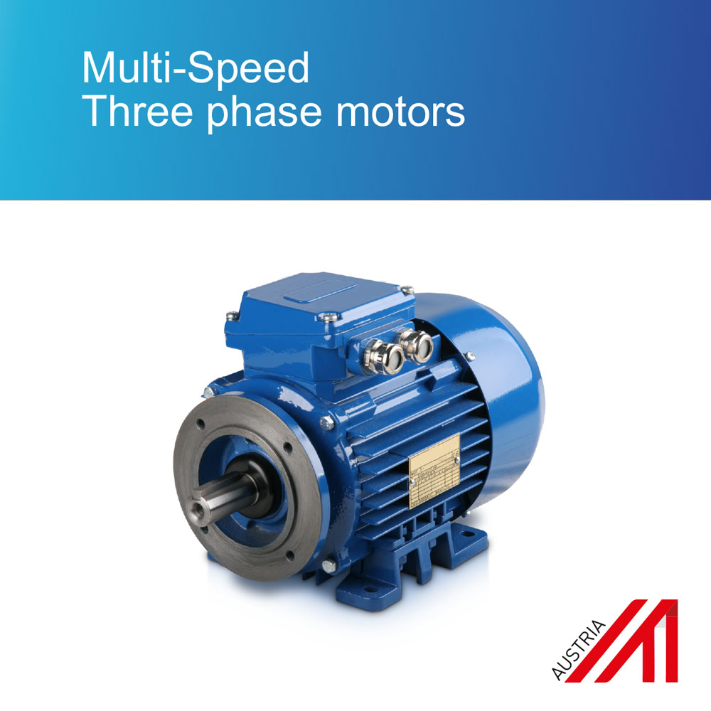 Multi-Speed Three phase motors